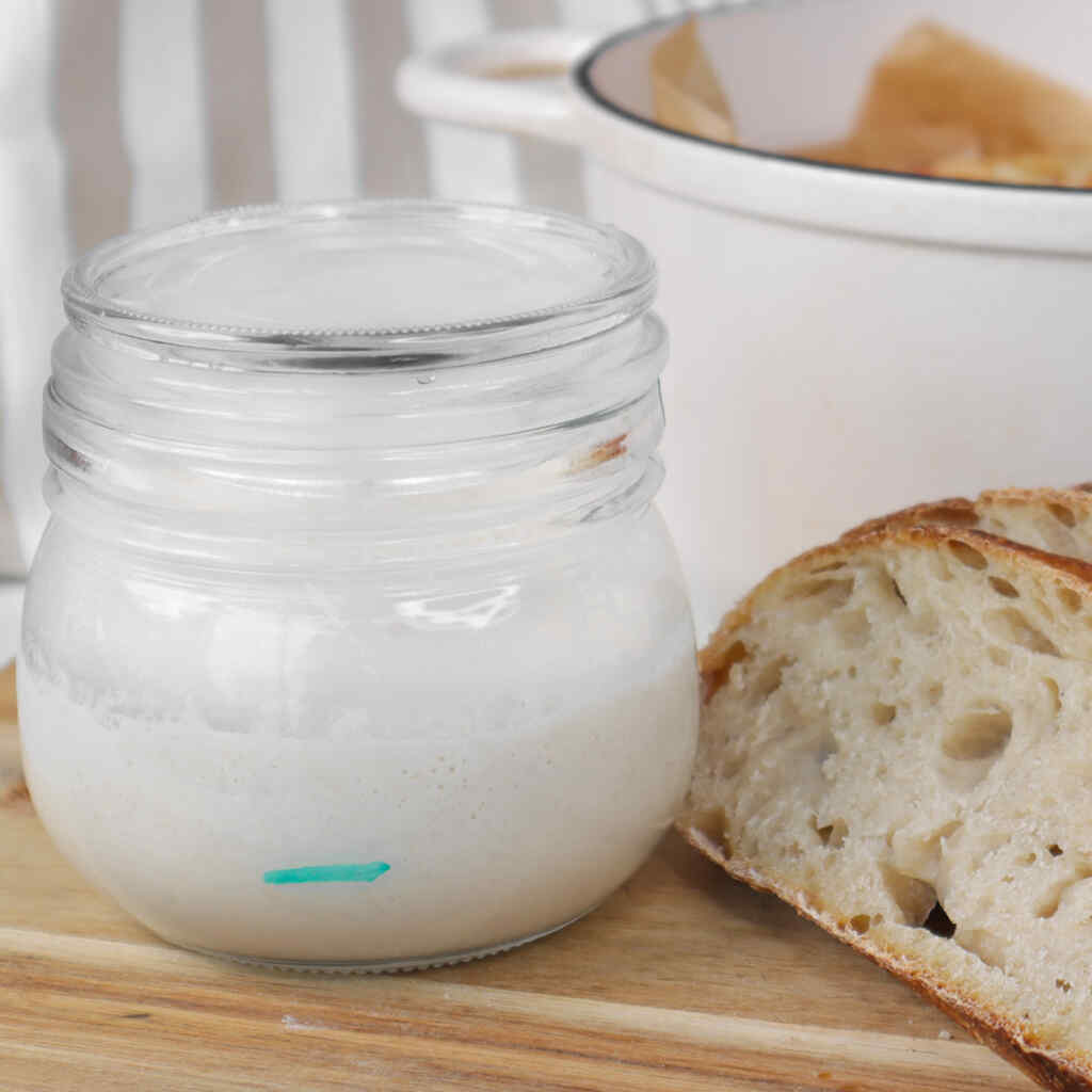 Kit Démarrage Levain Kook - Bocal Verre 700ml, Thermomètre, Spatule, Guide - Pour Faire Son Pain Maison