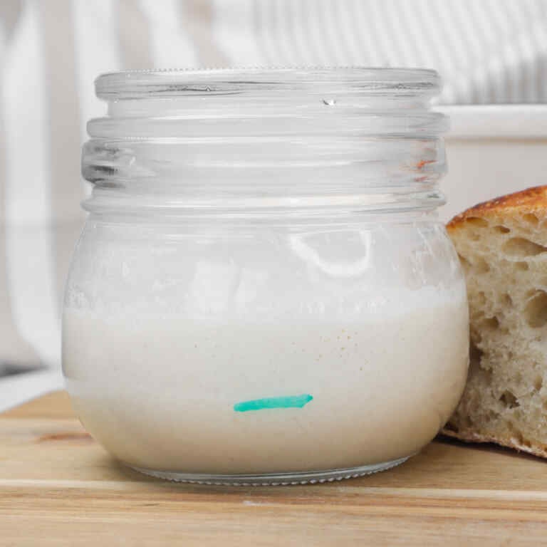 Dasar-dasar Sourdough: Panduan Langkah demi Langkah