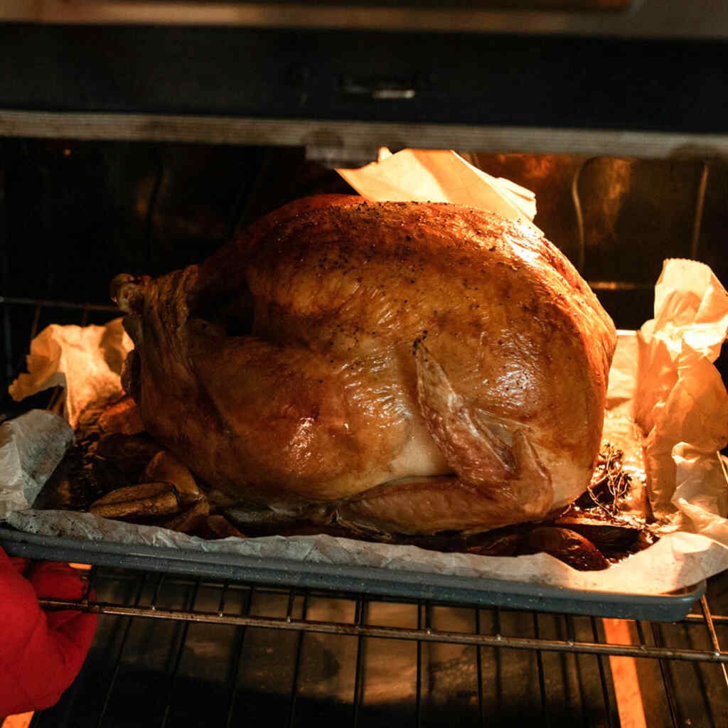 How to Defrost a Turkey - A Full Guide to Defrosting Turkey