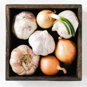 Can You Eat Sprouted Garlic? - A Full Guide
