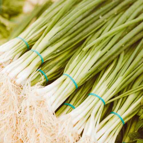 What Are Spring Onions? - Seasonal tips & recipe inspiration