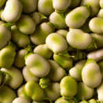 Primer plano de habas frescas con un tono verde claro.