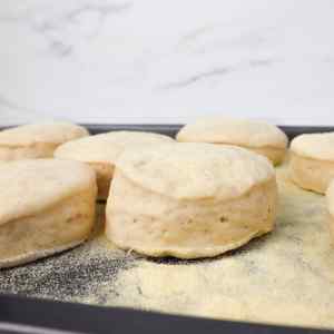 Des muffins anglais fraîchement préparés, posés sur une plaque de cuisson recouverte de semoule.