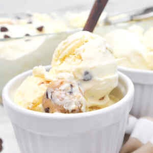 Chocolate Chip Cookie Dough Ice Cream