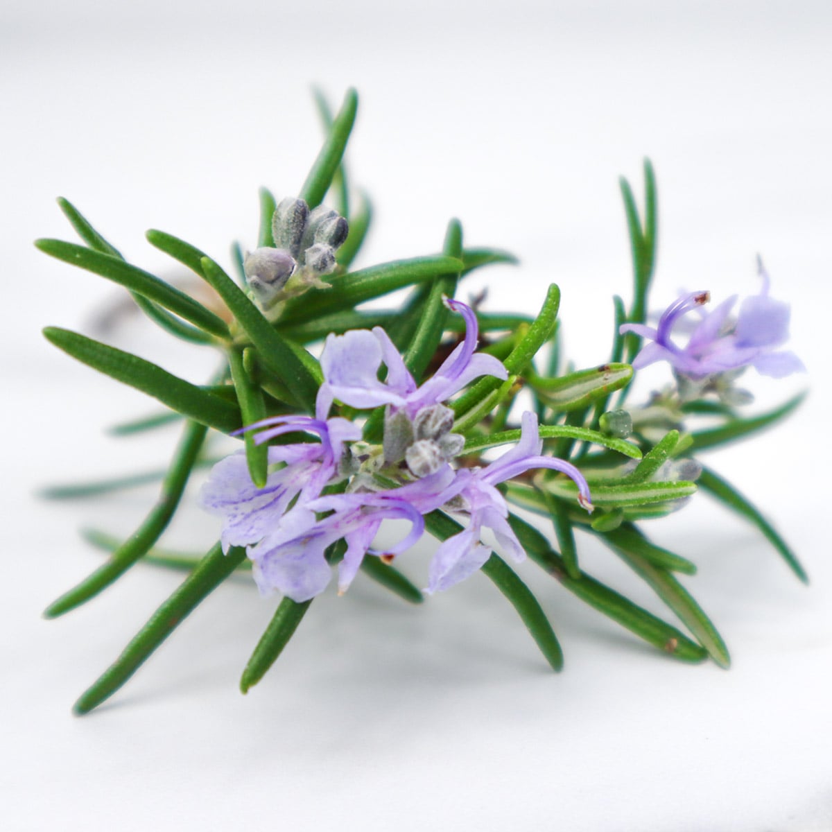 Honey-roasted-carrots-1200-09