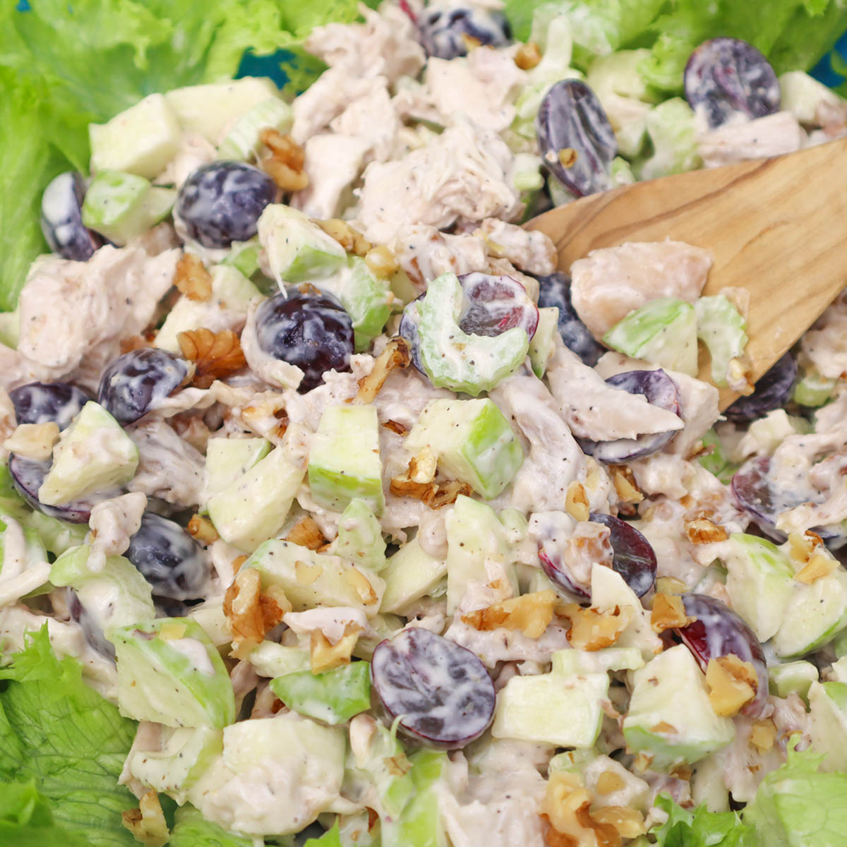 Chicken Waldorf Salad