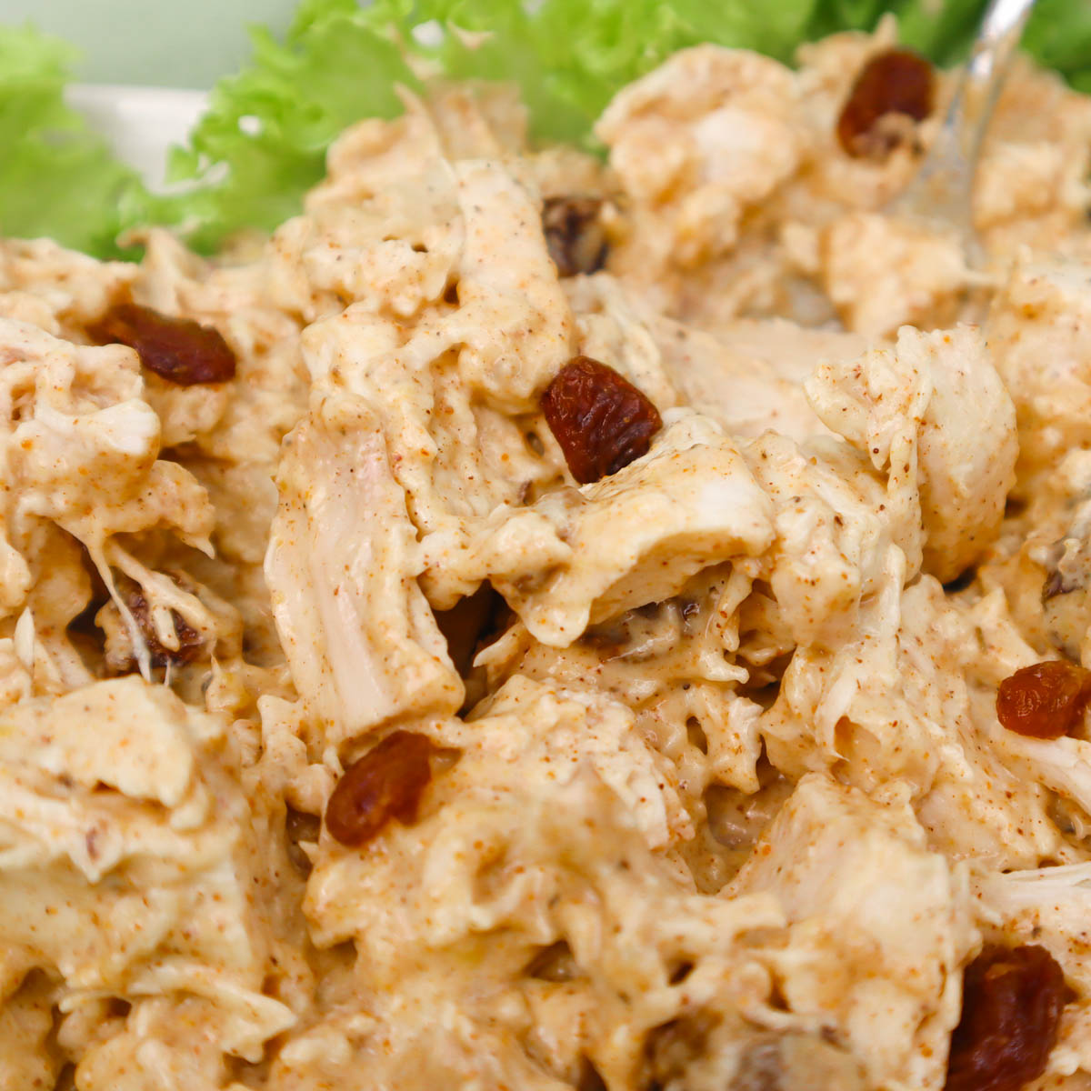Coronation Chicken A close-up of creamy coronation chicken with raisins on a bed of lettuce.