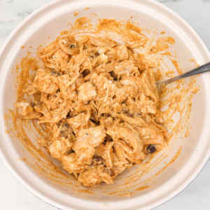A bowl of shredded chicken mixed with a creamy, spiced sauce.